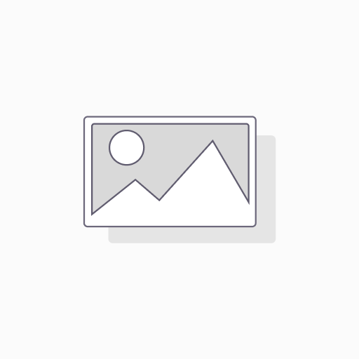 P1FLOPI WALLET